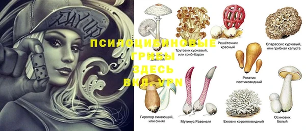 герыч Арсеньев